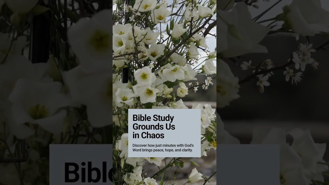 Staying Rooted in God’s Word Daily