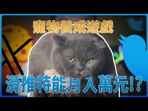 零成本開搞！有被動收益的社交電子雞！XPET幫你小小加薪！｜酷可實驗室