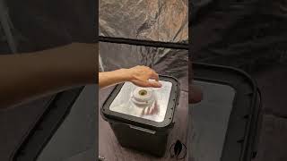 Горшок для гидропоники #гроубокс #гроутент #выращивание #индор #dwc #днат