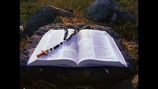 V Domingo  Ordinario, 8 de Febrero del 2026