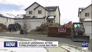 Eagle Mountain residents are still digging themselves out of tumbleweeds