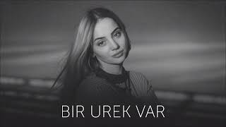 Bir Urek Var - Leyla Prod (Remix)