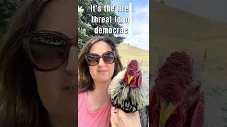 Don’t California my Montana #montana #truthtok #crazychickenlady #ruralamerica