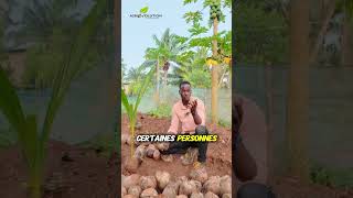 Le Détail Que 90% Ignorent Sur Ces Deux Plantations