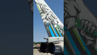 Eurofighter Typhoon SILVER TIGER special livery #eurofightertyphoon #eurofighter #aviation
