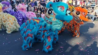 Trung Han Qun Lion Dance - Kids Performance - Cabramatta Moon Festival
