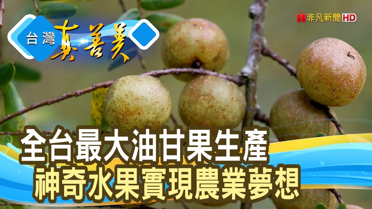 阿嬤的零嘴“油甘果”｜綠鑽石農場 ｜【台灣真善美】2022.10.30