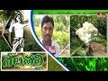 Jangaon District Farmer Earn Profits By Jasmine Flower Farming-Exclusive