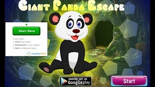 G4K Giant Panda Escape Walkthrough [Games4King]