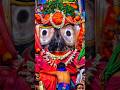 Jai jagannath 😌🙏🏻#youtubeshorts #status #trending #video #ytstudio #ytshorts #jaijagannath