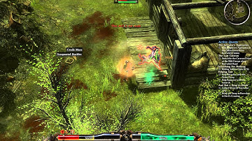 Grim Dawn visual bugs