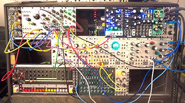 #Jamuary2021 | Day 10 | Turing Machine + Basimilus + Desmodus