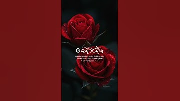 سورة التكوير | إذا الشمس كورت – تلاوة خاشعة تهز القلوب ✨