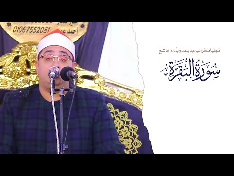تجليات قرآنية بديعة وبأداء خاشع من سورة البقرة يتجلي الشيخ محمود الشحات أنور