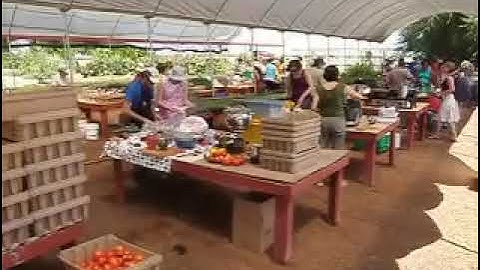 Eatwell Farm Tomato Sauce Party