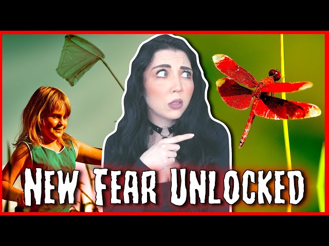 Why You Should NEVER Chase A Red Dragonfly...