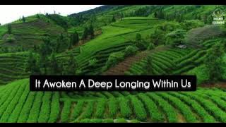 Peaceful Nasheed.... Ya Hul Waha Nasheed By Muhammad Al Salman