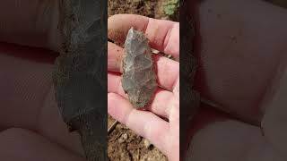 Southern IL Arrowhead hunting. Adena blade with a reworked tip #indianartifacts #points #arrowhead