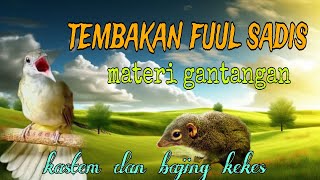 Tembakan sadis materi gantangan❗ kapas tembak dan bajing kekes 🔥🔥