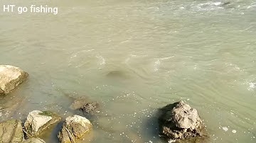 câu mương bằng mồi bột vẫn hiệu quả Nhất