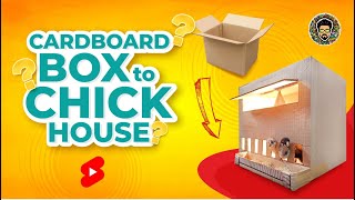 Cardboard Box to Chick House | Easy Brooding for chicks | homemade #shorts #diy #chick #trending Resimi