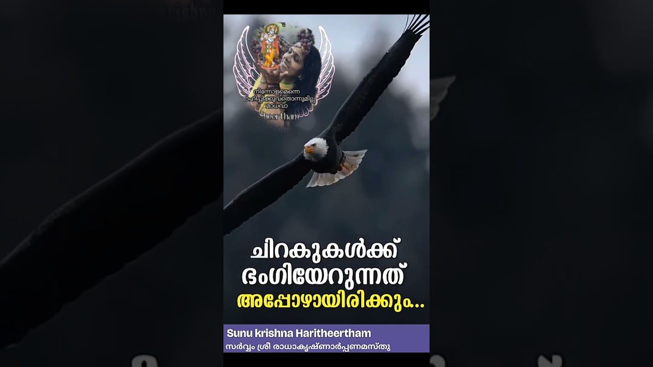 കൃഷ്ണാ എന്നു ഉറക്കെ വിളിക്കുന്നവരെ ആർക്കും തളർത്താൻ ആവില്ല🥰🙏