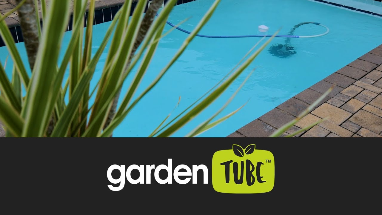 Diving into Summer The Water Wise Way - YouTube