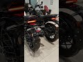TVS Ronin 225cc Latest Model 2026 tvs automobile ronin225 motorcycle #shorts #automobile