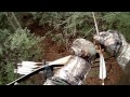 Traditional Recurve Deer Hunt 2017