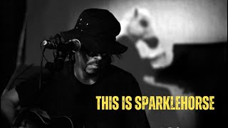 Watch This Is Sparklehorse Trailer