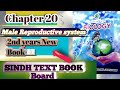 Reproduction||Male Reproductive system||2nd year New Book ||Sindh Text Book Board 📖