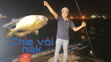 Câu cá sông nhà bè cạnh cảng hiệp phước//dân dã miền quê official