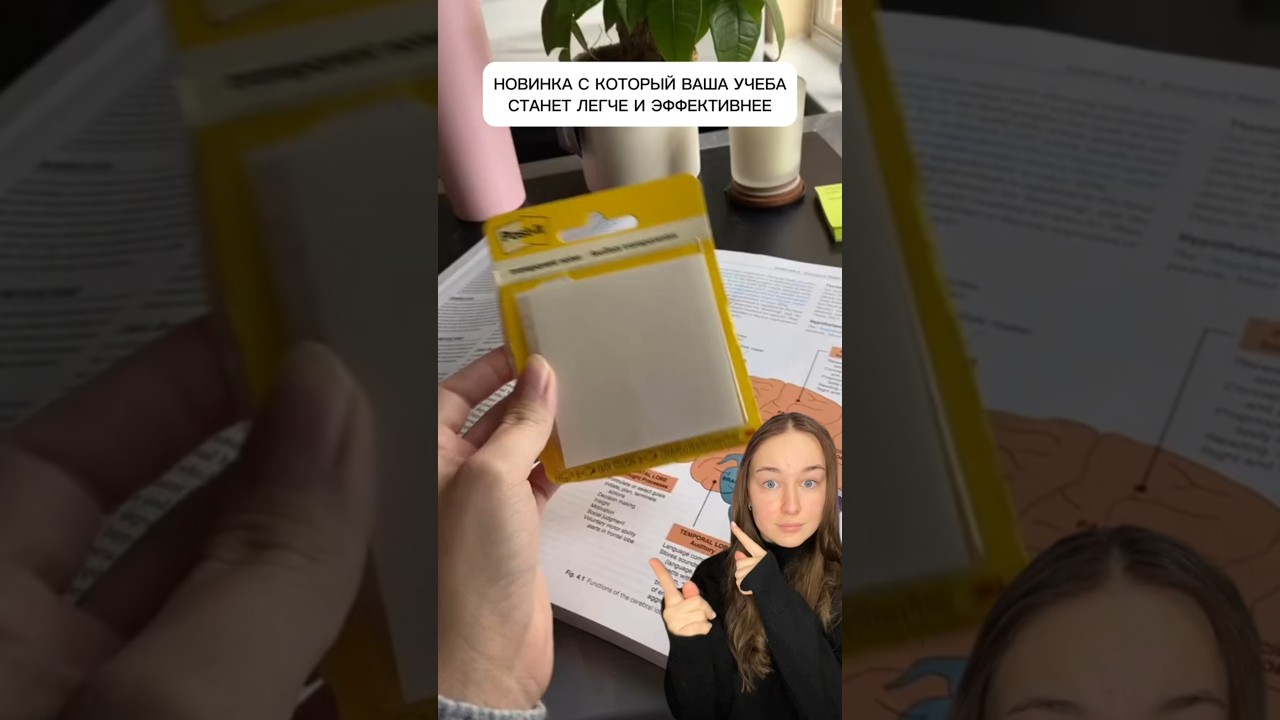 решение любых задач по учебе в тг боте: Author24ForCustomersBot 