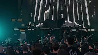 Alpha Wolf  Bring Back The Noise  In Mesa Az 2023