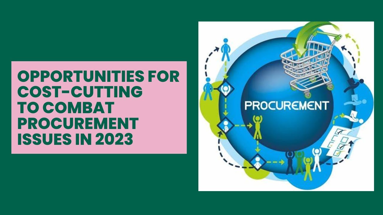 Opportunities for Cost Cutting to Combat Procurement Issues in 2023