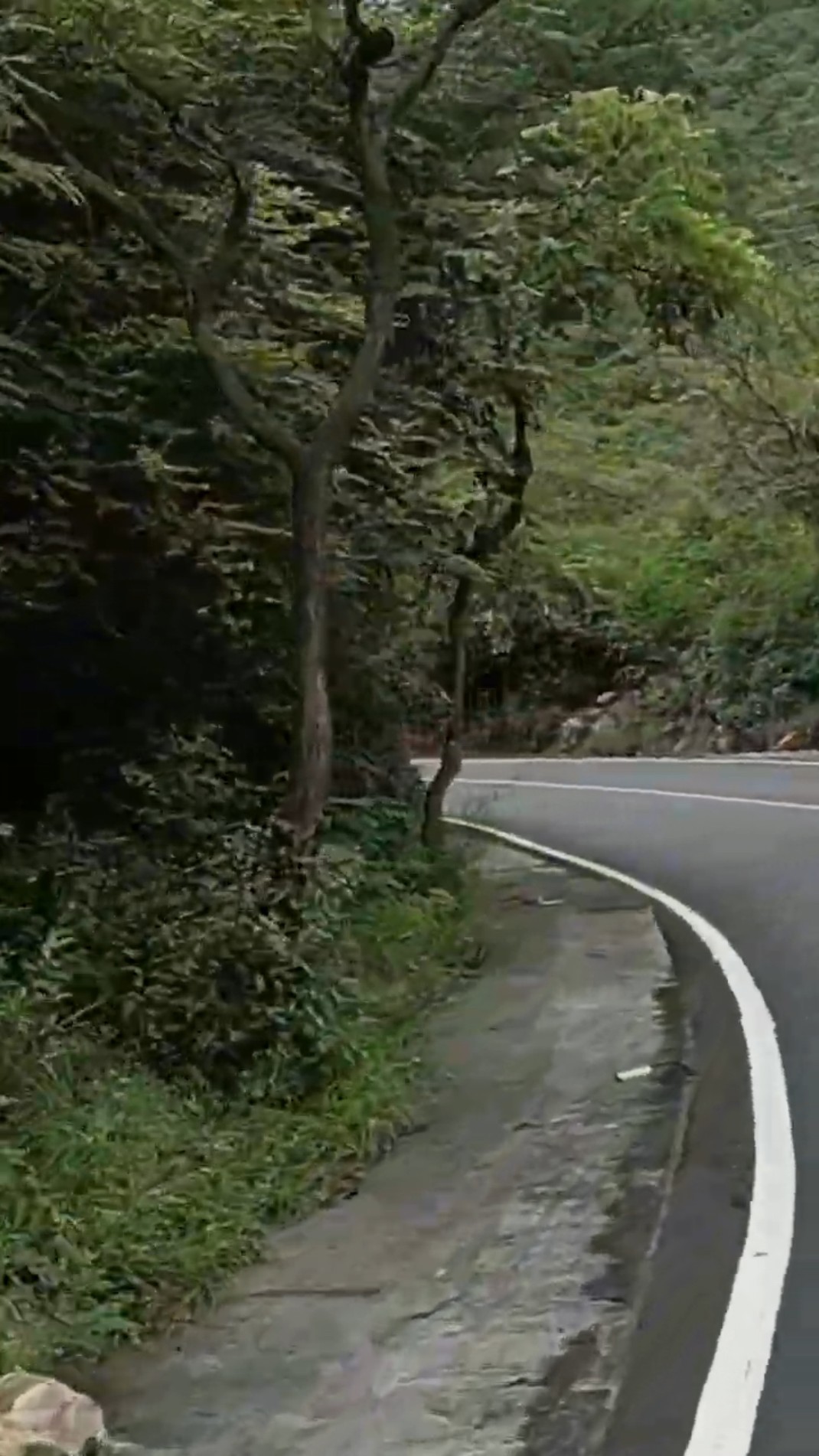 💞Feel My Love💖 - ShareChat