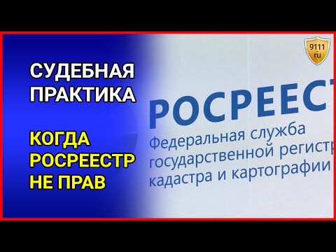 Судебная практика. Когда Росреестр не прав