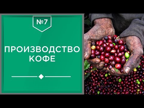 Производство кофе: сбор, обработка и упаковка кофе в стране произрастания☕