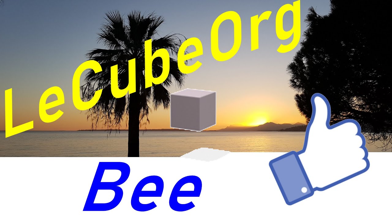 Detective Bee - LeCubeOrg - Digital artwork - Music - Pierre-Emmanuel