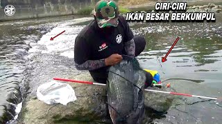 Download Lagu Positif..! Mancing di air mengalir ikan besar berkumpul MP3 Download Lagu Positif..! Mancing di air mengalir ikan besar berkumpul MP3