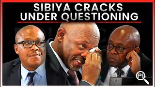 Sibiya Under Pressure at Madlanga Commission, Flip-Flops, Stalling, Red Flags #209