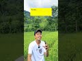 Semua bisa dapat dolar di fb pro