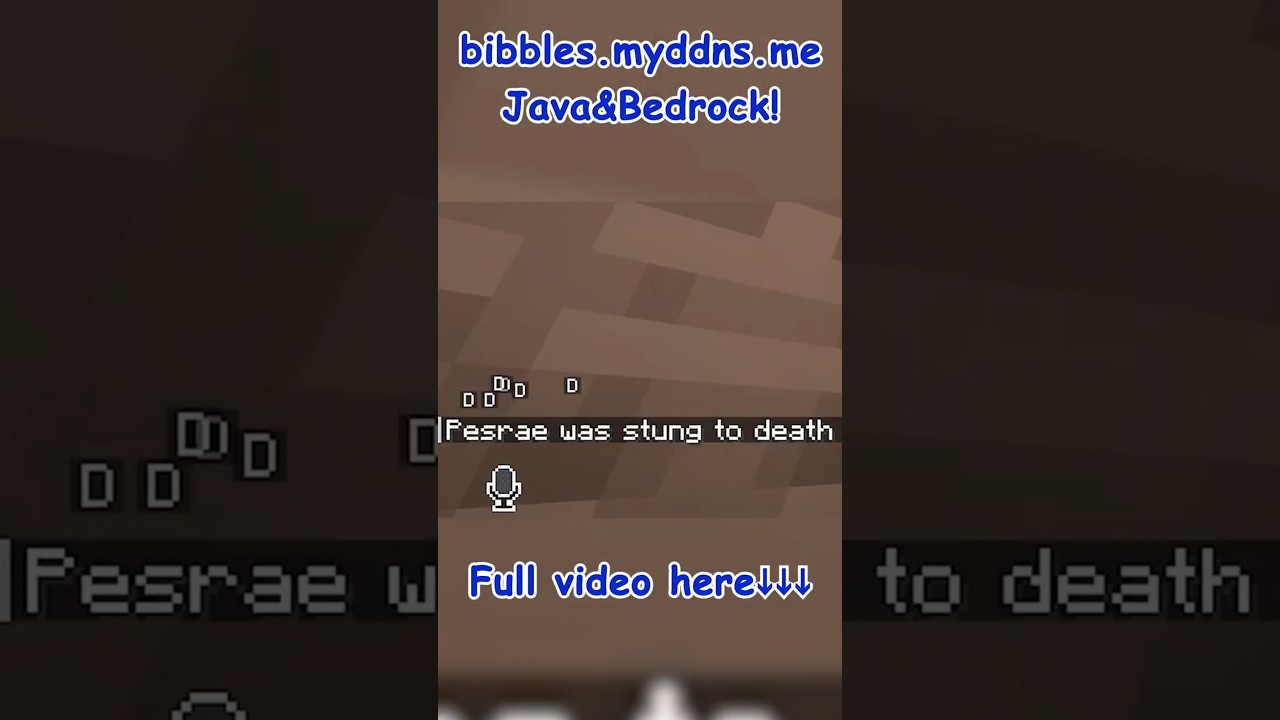 He died to what on the SMP? 😭 #minecraft #bibblesSMP #mrbibbles #smp