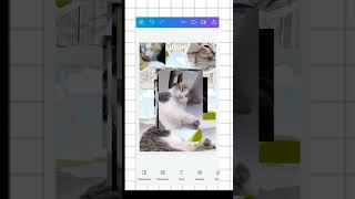 Photo Collage | Jcresates #canva #tutorial #youtubeshorts #shorts #cat