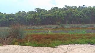 Lake Couridjah, 09 03 19