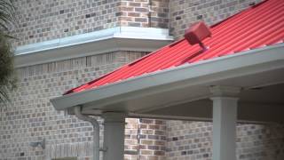 Celebrity Bob Evans Sinkhole Seffner FL update Net Worth