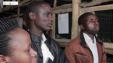 film Documentary FOA  11min