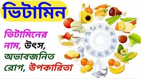 ভিটামিন/vitamin important question answer/primary Tet evs/evs for wb primary tet/primary Tet exam