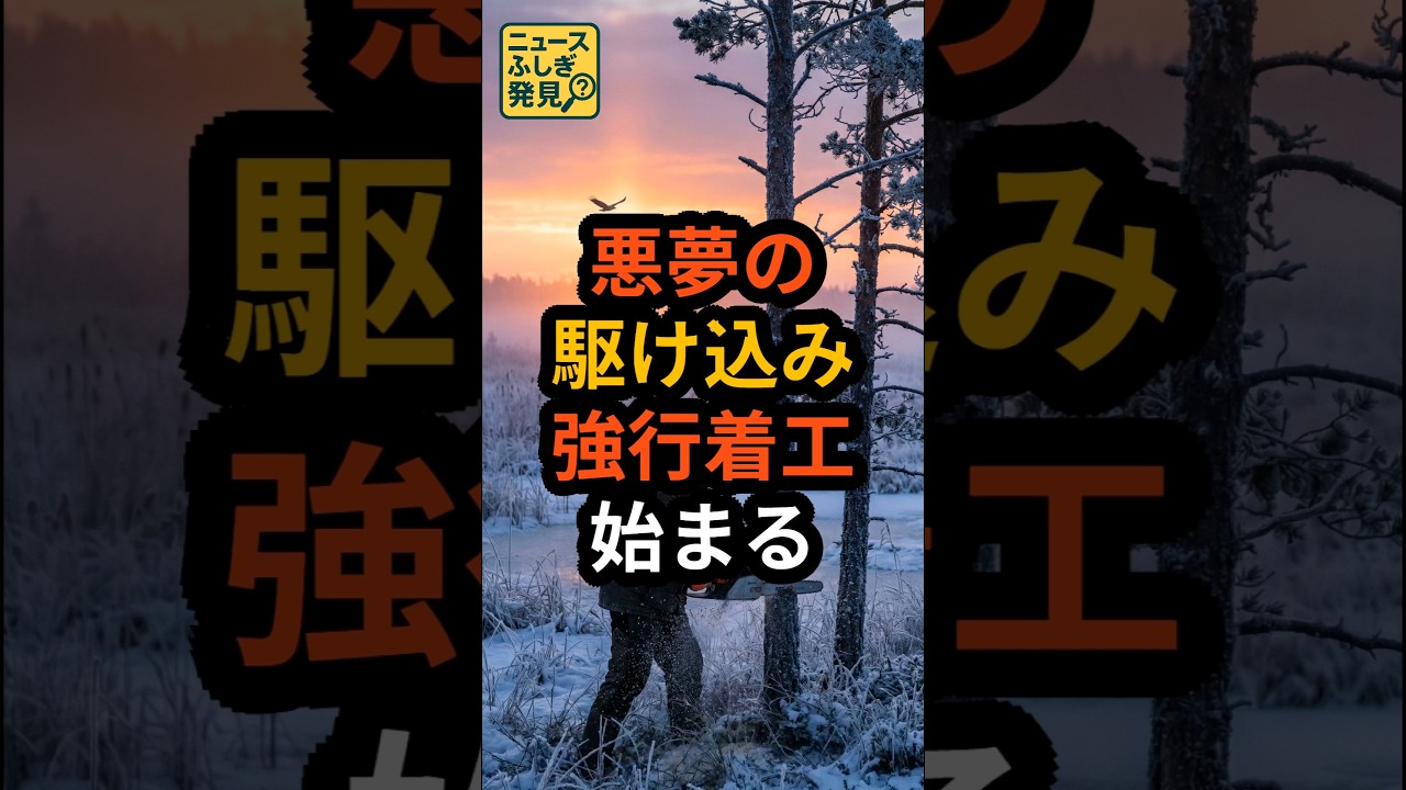 【大炎上】メガソーラー「1月1日」の攻防。日本エコロジーの強行に、釧路市が下した異例の決断。