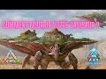 Comment nourrir votre oasisaur 